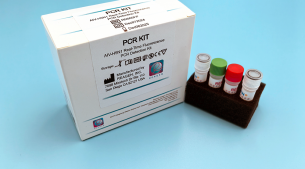 禽流感病毒H5N1核酸檢測(cè)試劑盒(熒光PCR法)