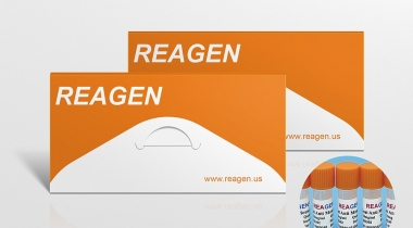 Parainfluenza type 2 antigen